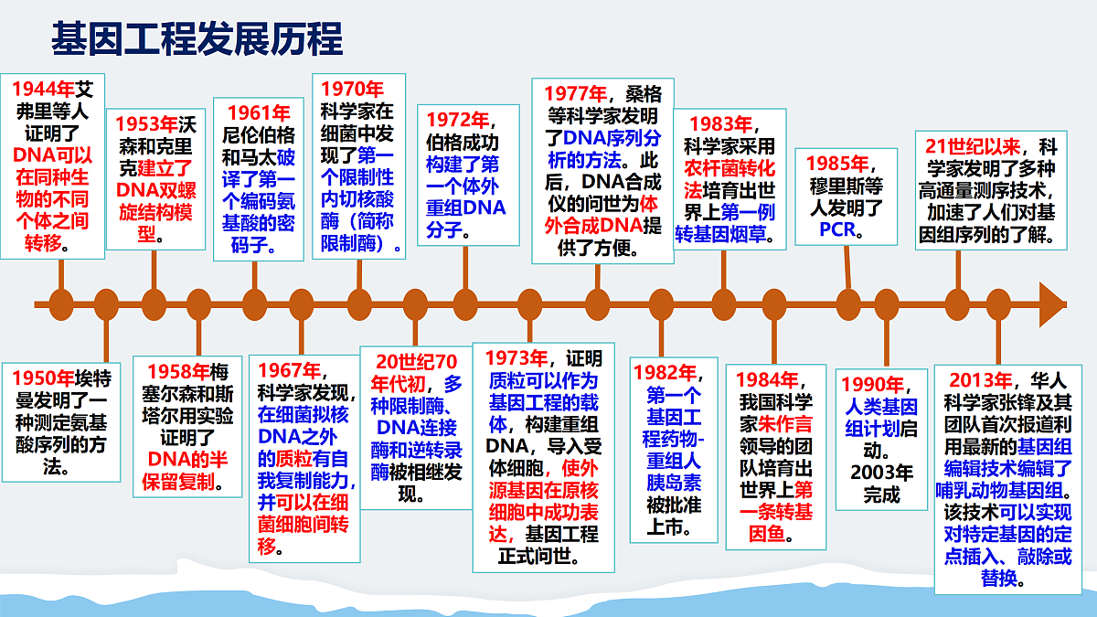 17995549第4页