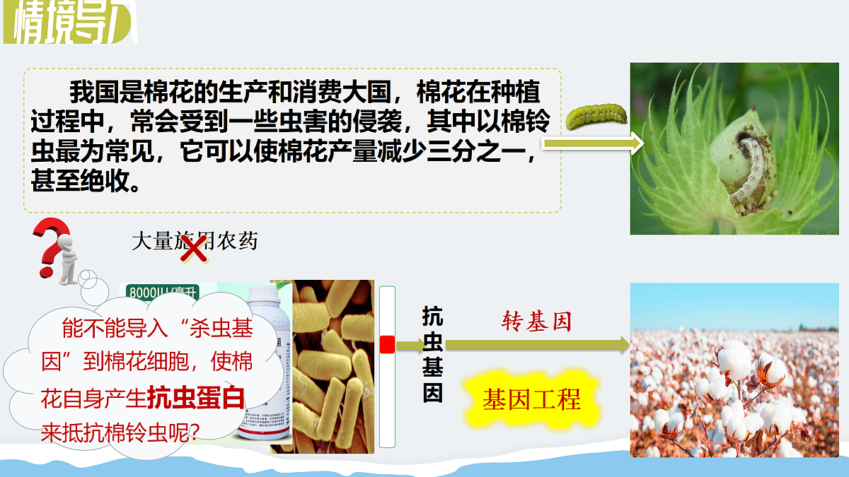 17995549第5页