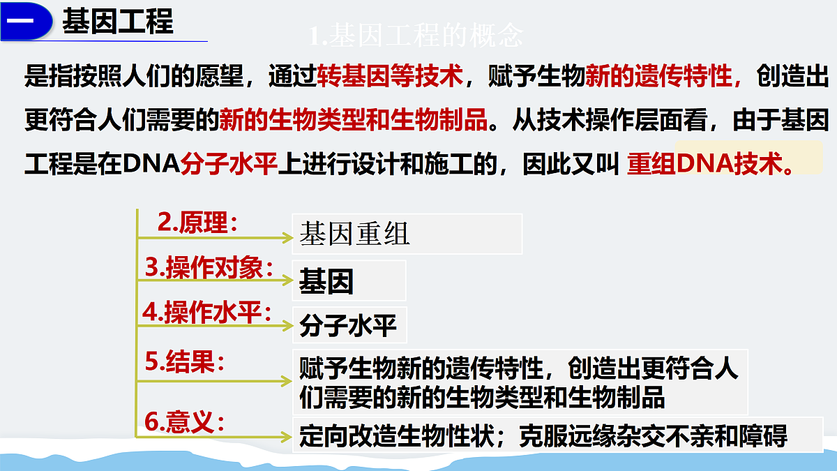17995549第6页