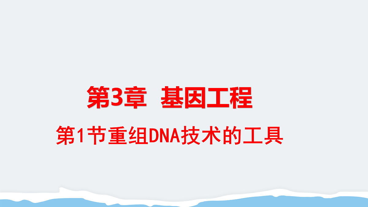 17995549第8页