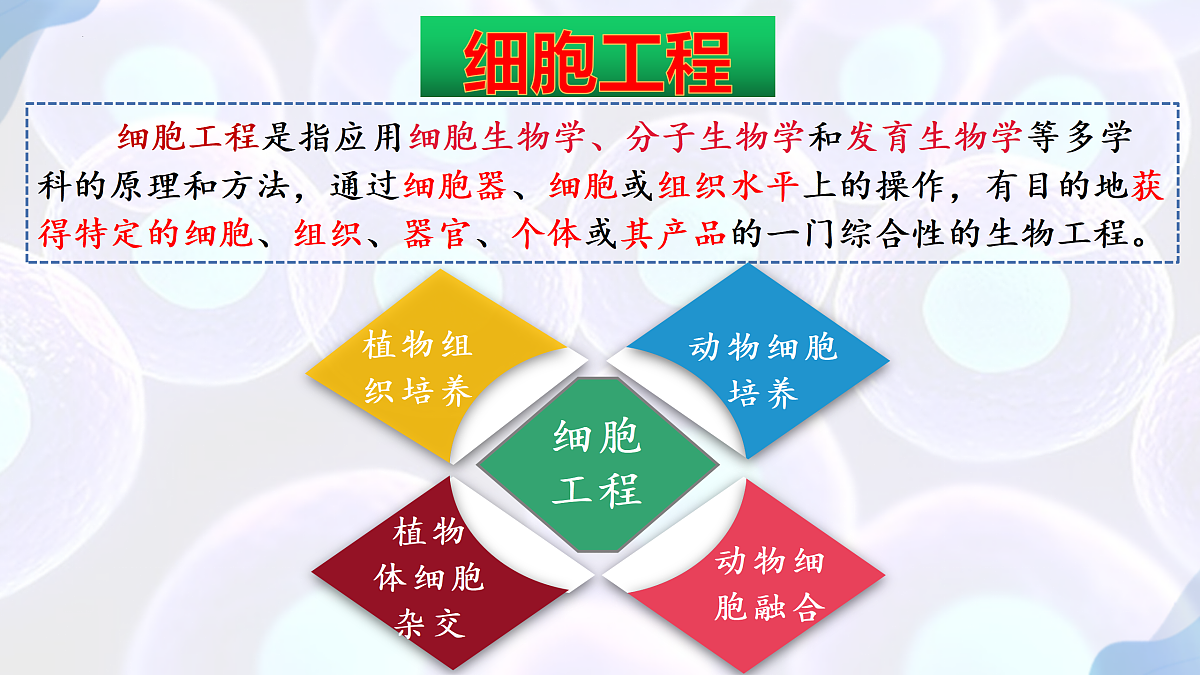 17995656第1页