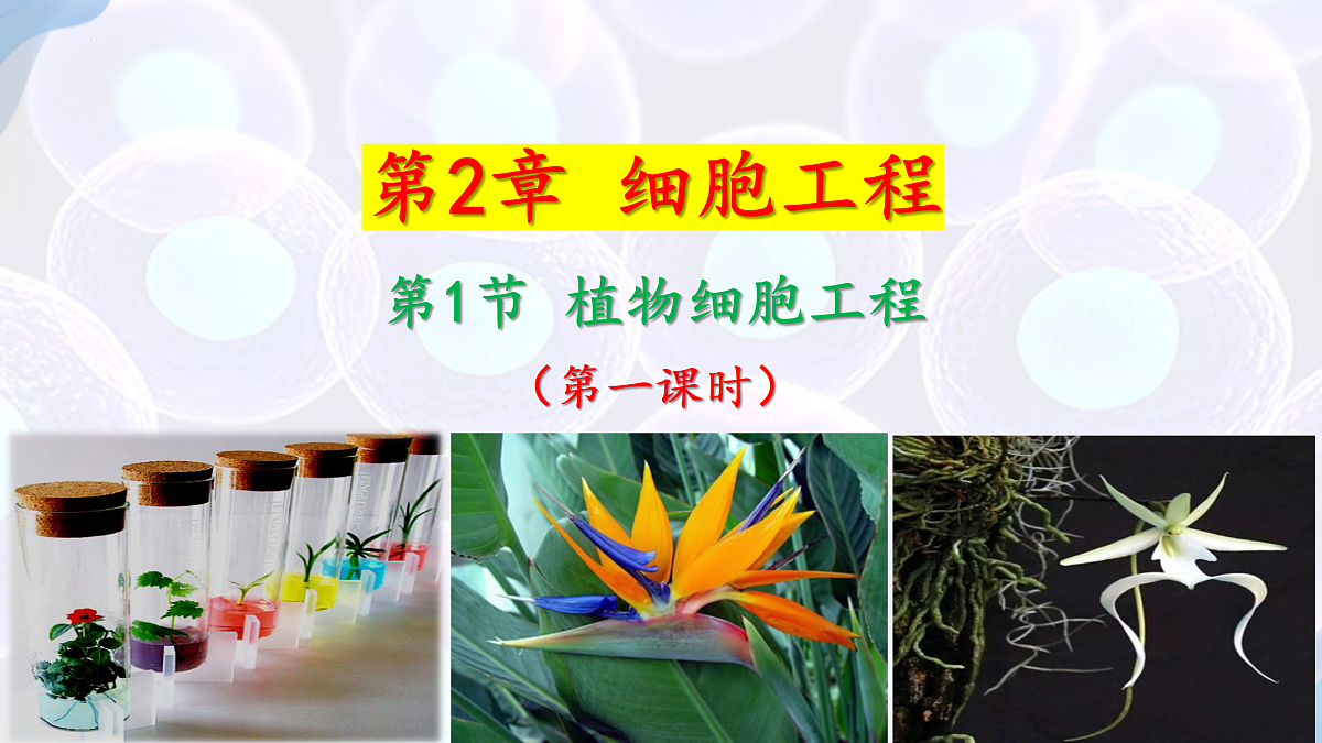 17995656第2页