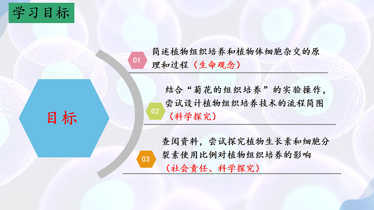 17995656第3页