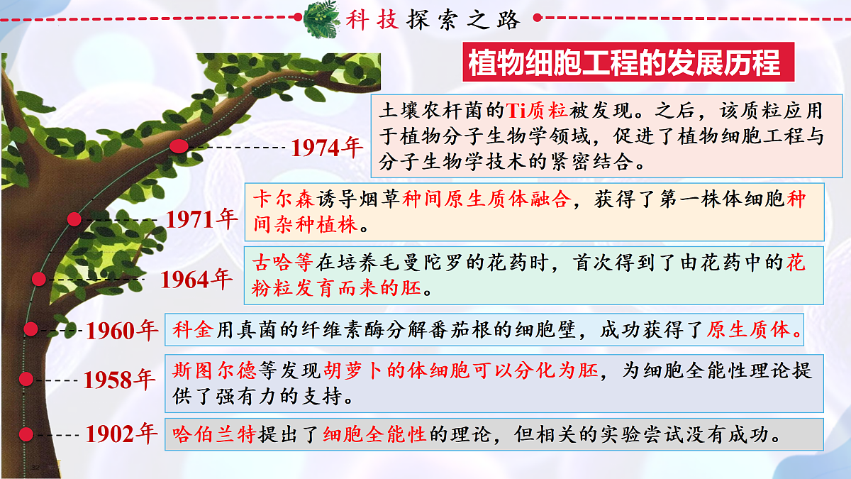 17995656第4页