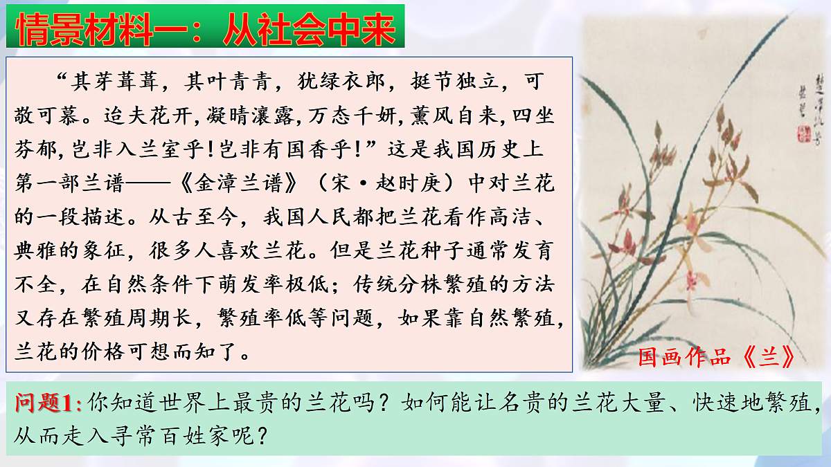 17995656第5页