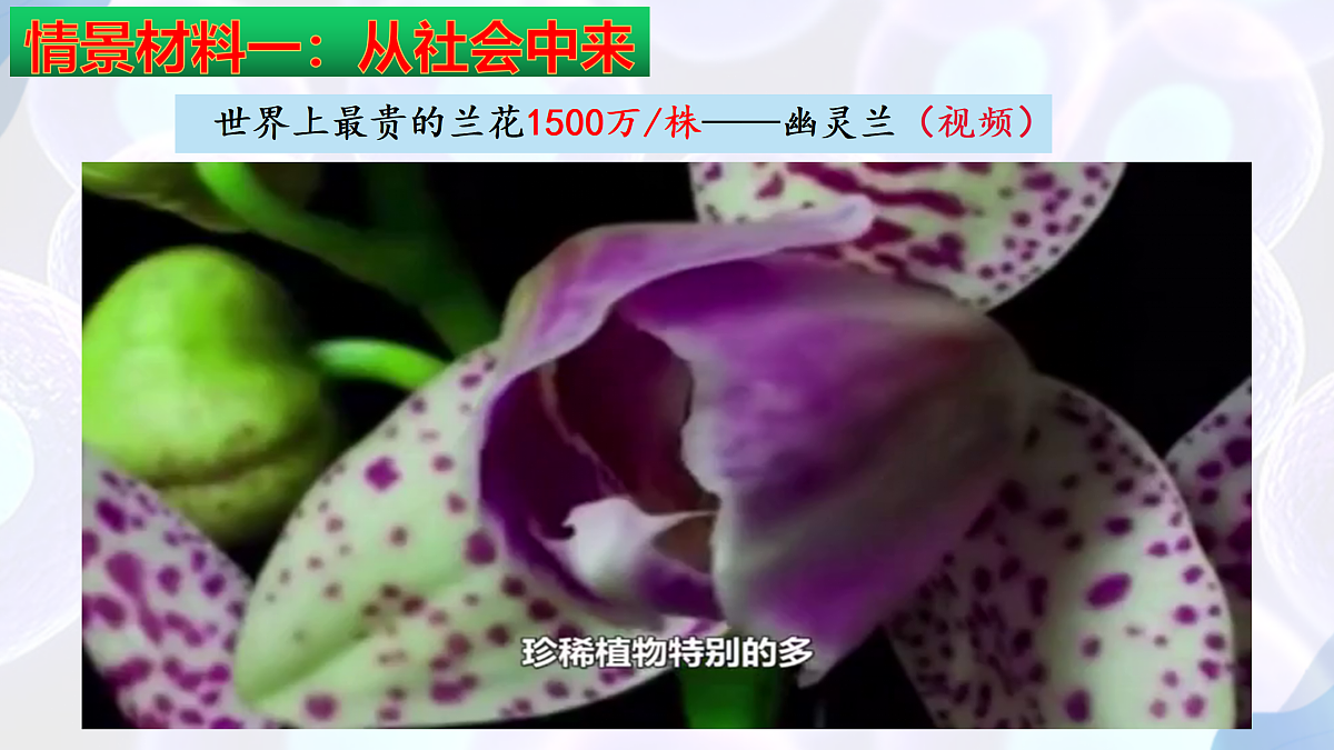 17995656第6页