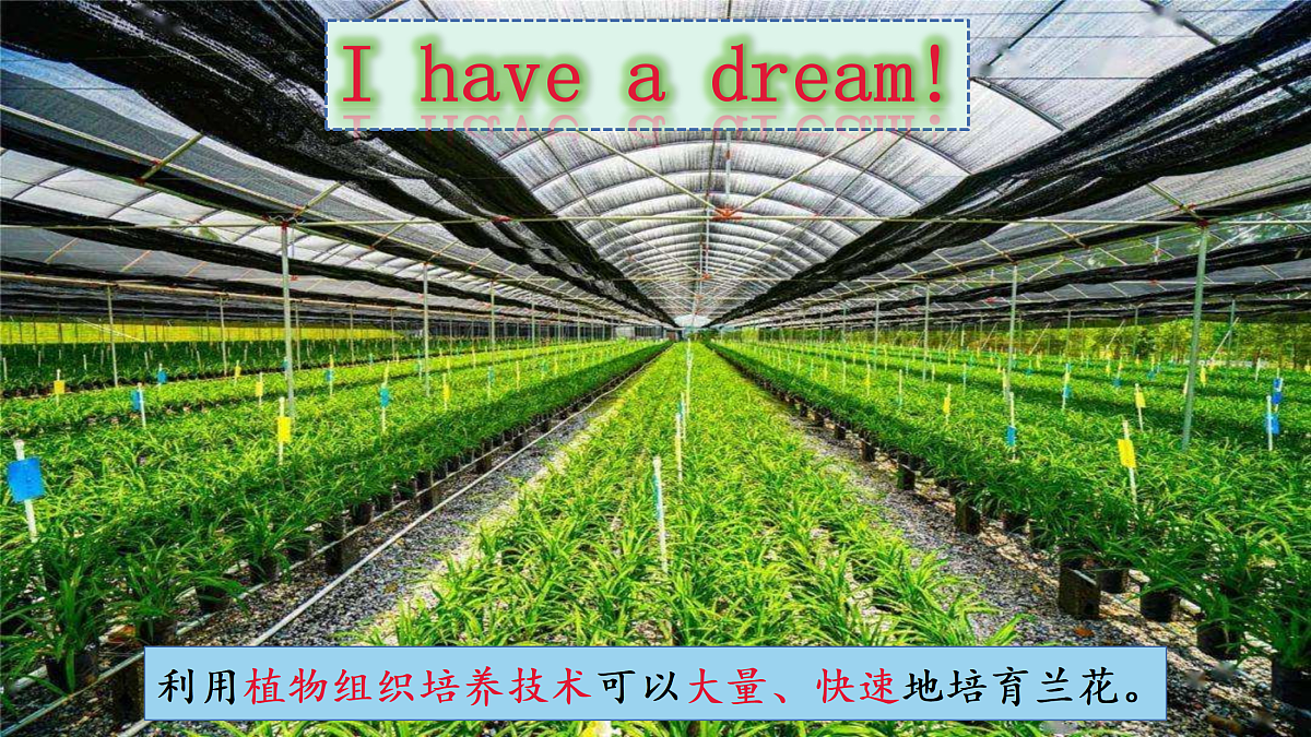 17995656第7页