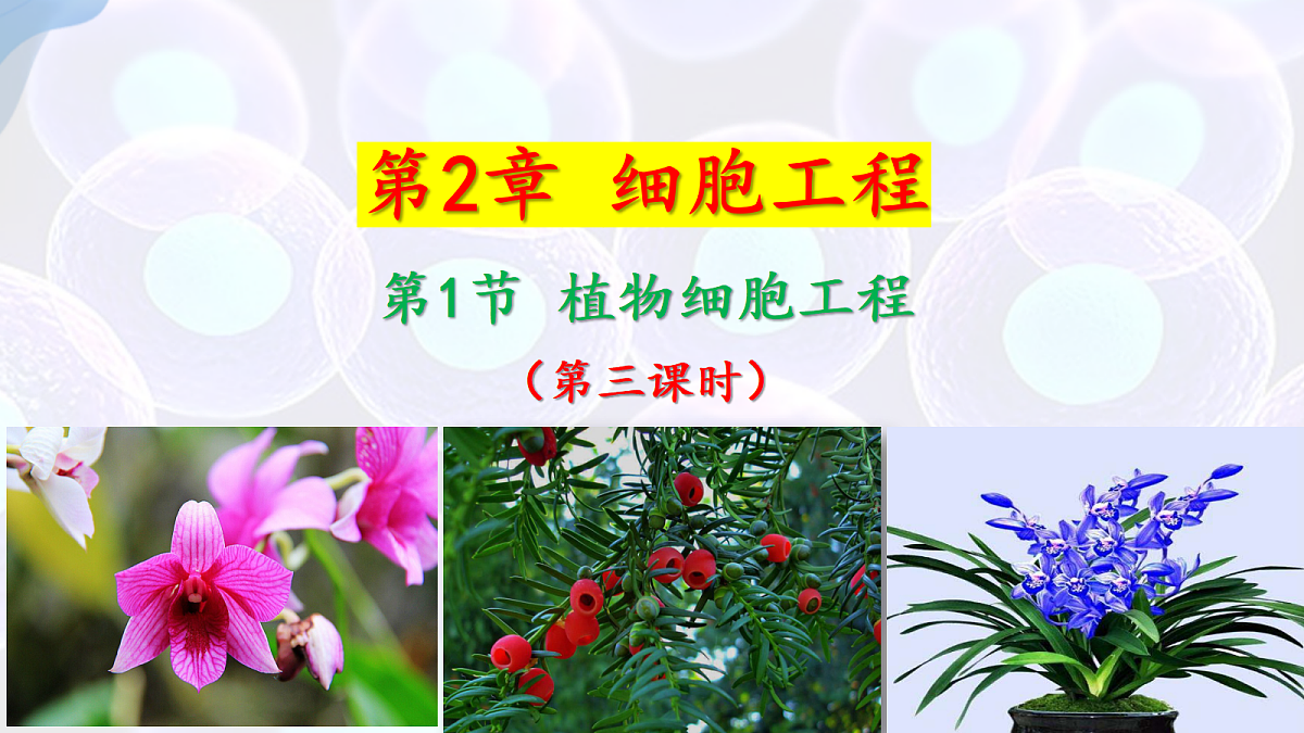 17995657第1页