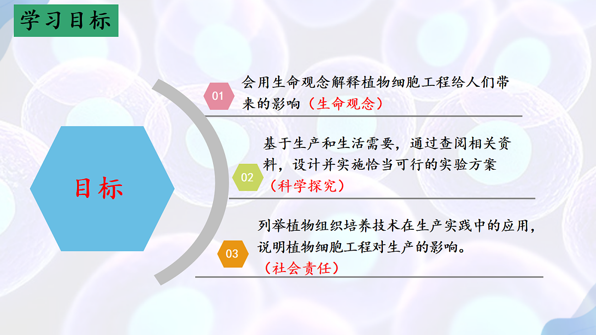 17995657第2页