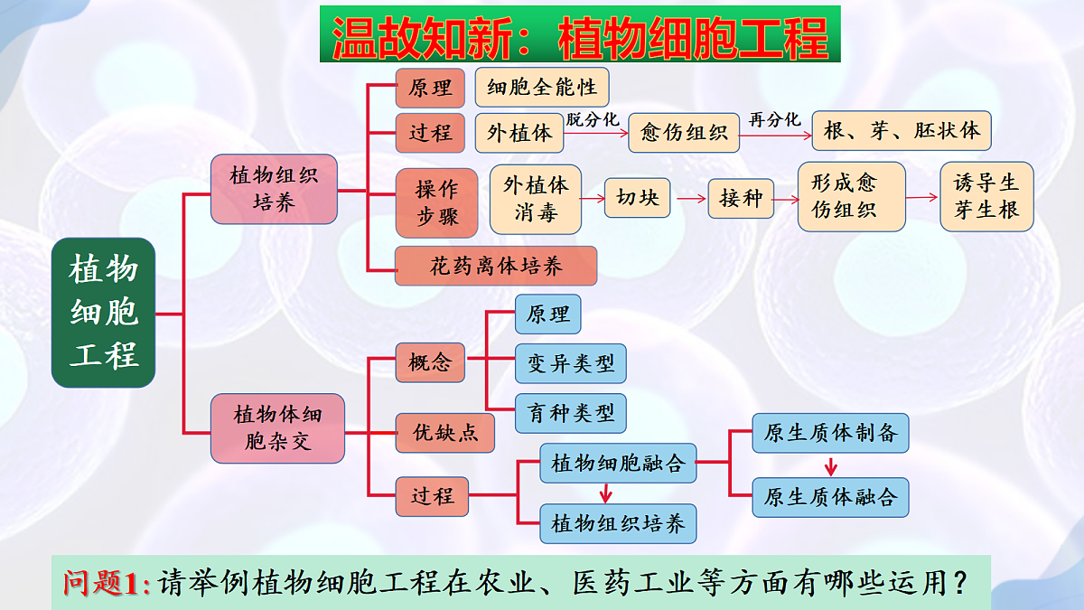 17995657第3页