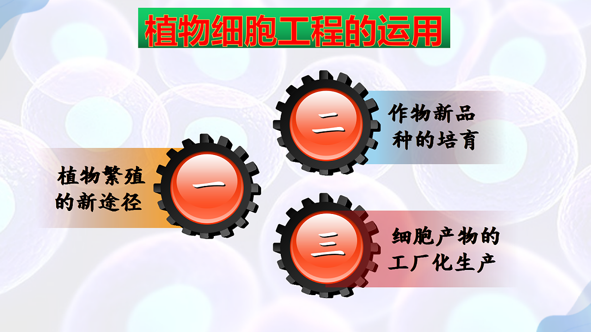 17995657第4页