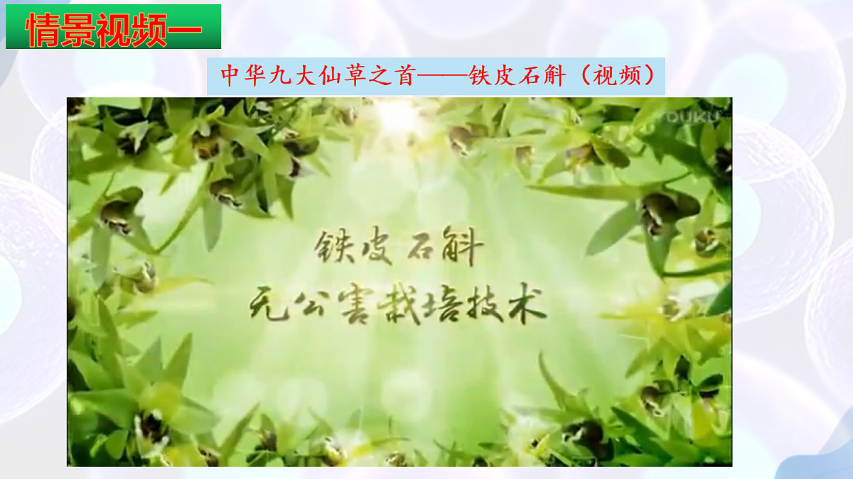 17995657第5页