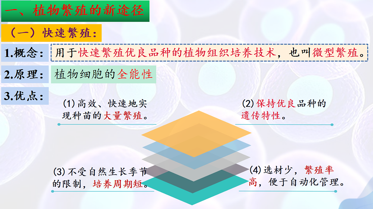 17995657第7页