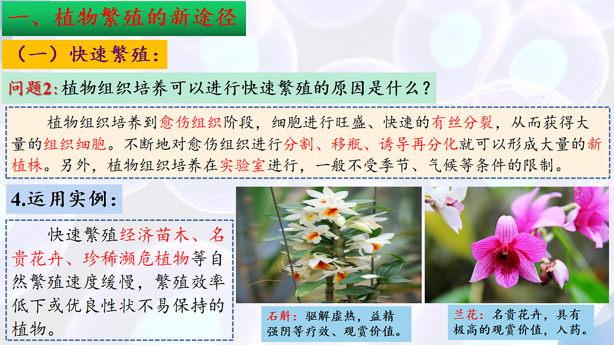 17995657第8页