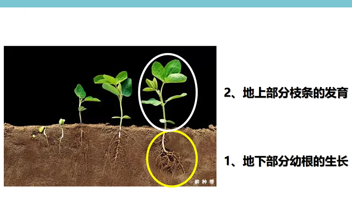 17996641第2页