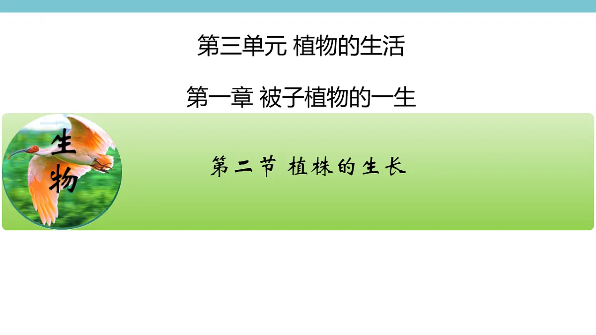 17996641第3页