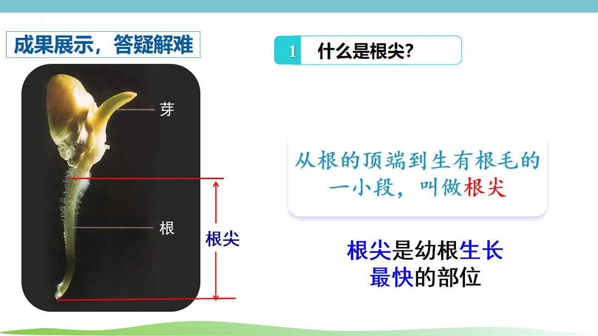17996641第6页