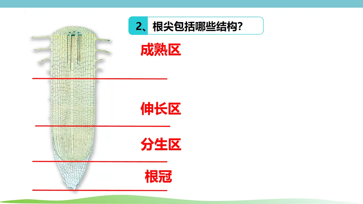17996641第7页