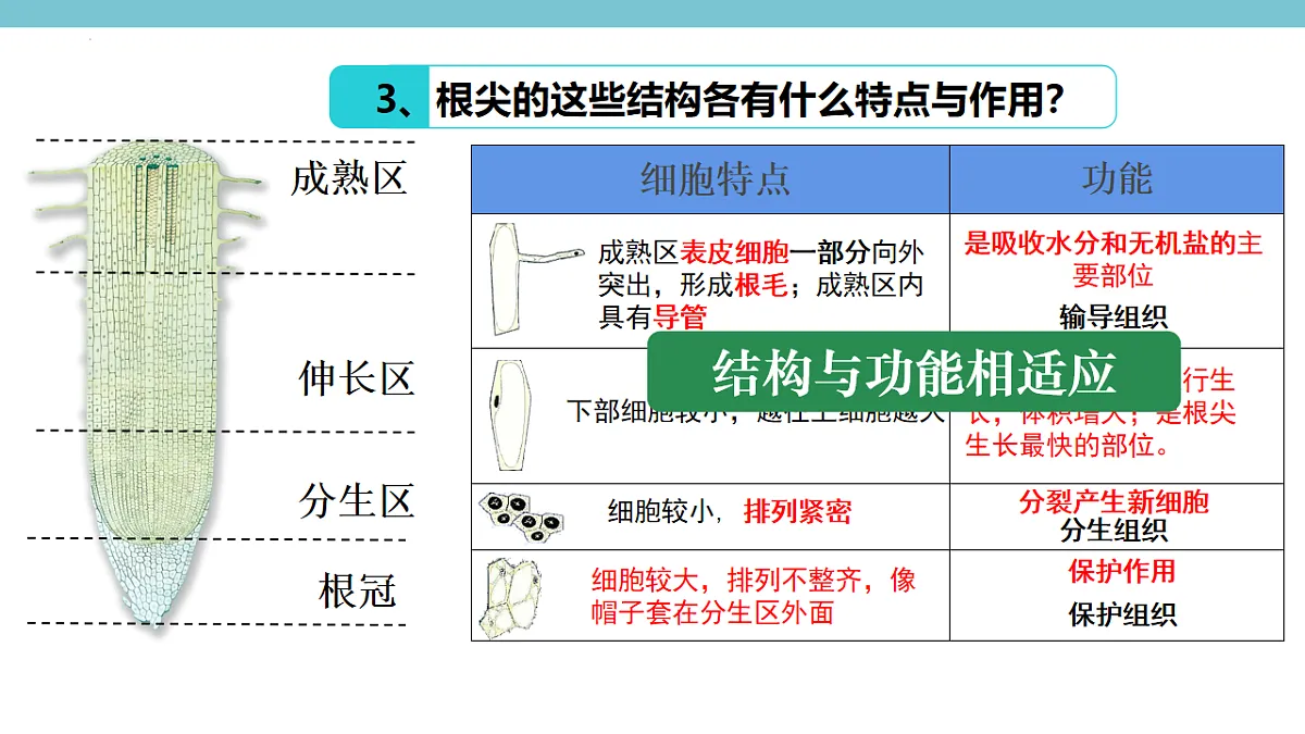 17996641第8页