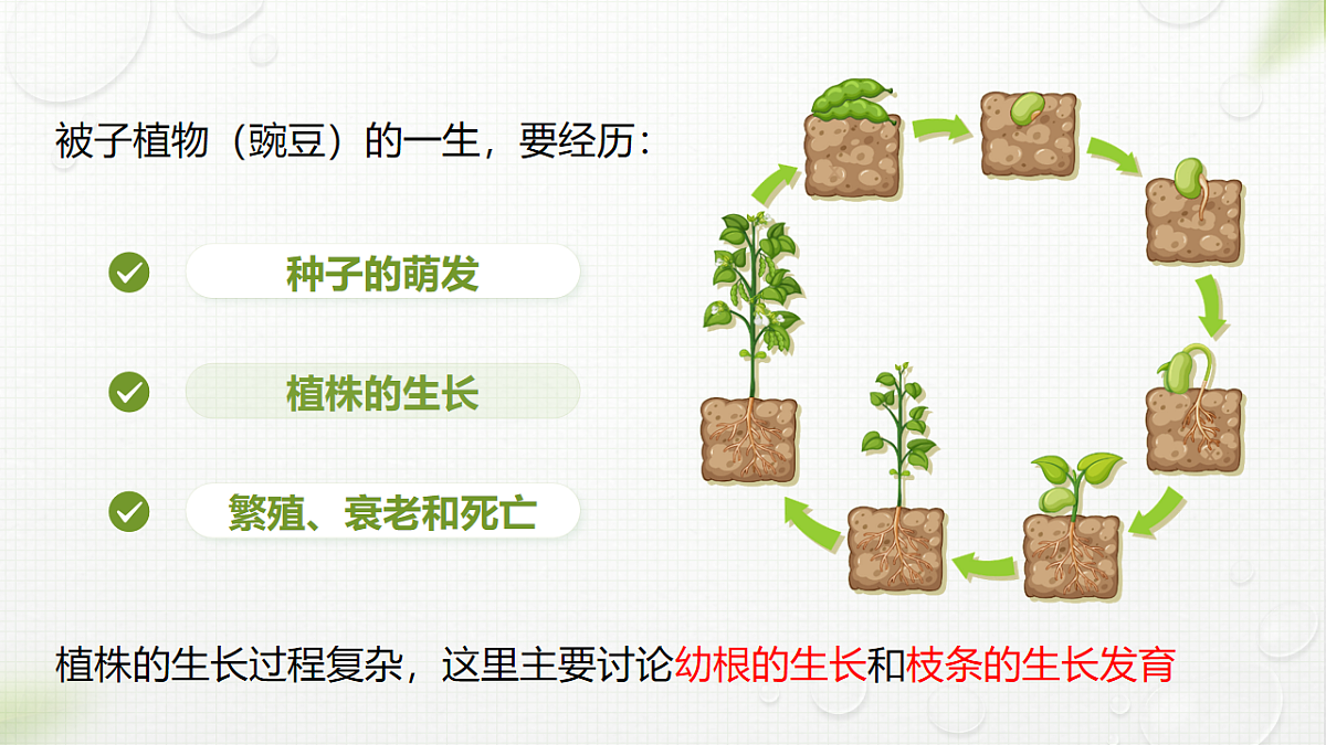 17996642第2页