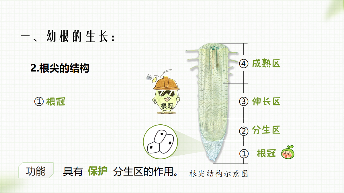 17996642第5页