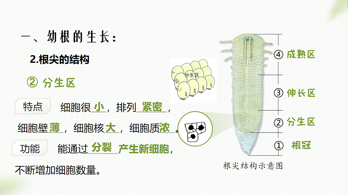 17996642第6页
