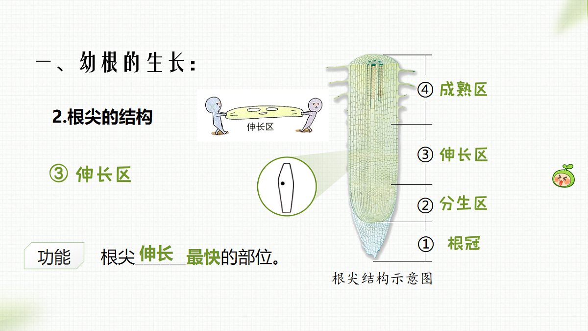 17996642第7页