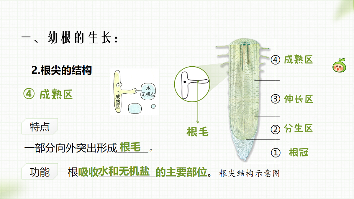 17996642第8页