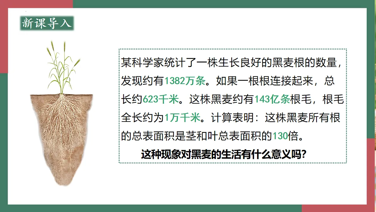 17996643第3页