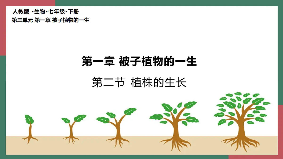 17996643第4页