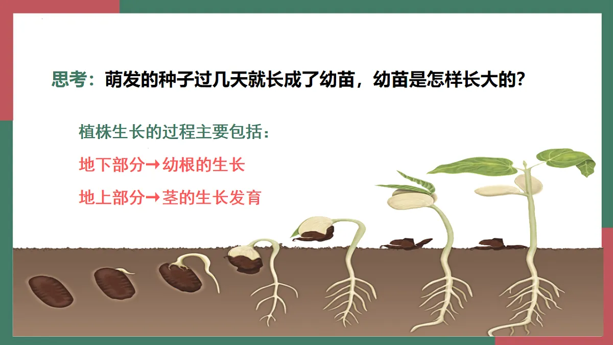 17996643第5页