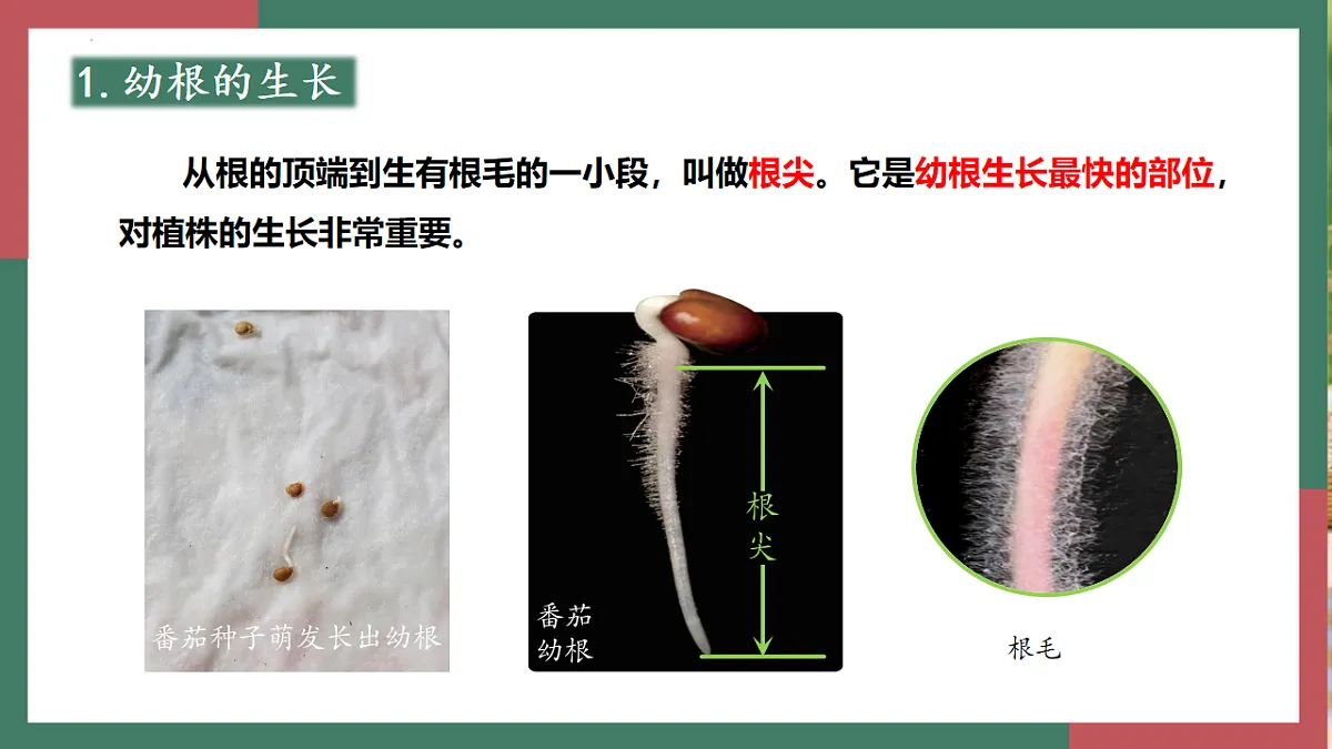 17996643第6页