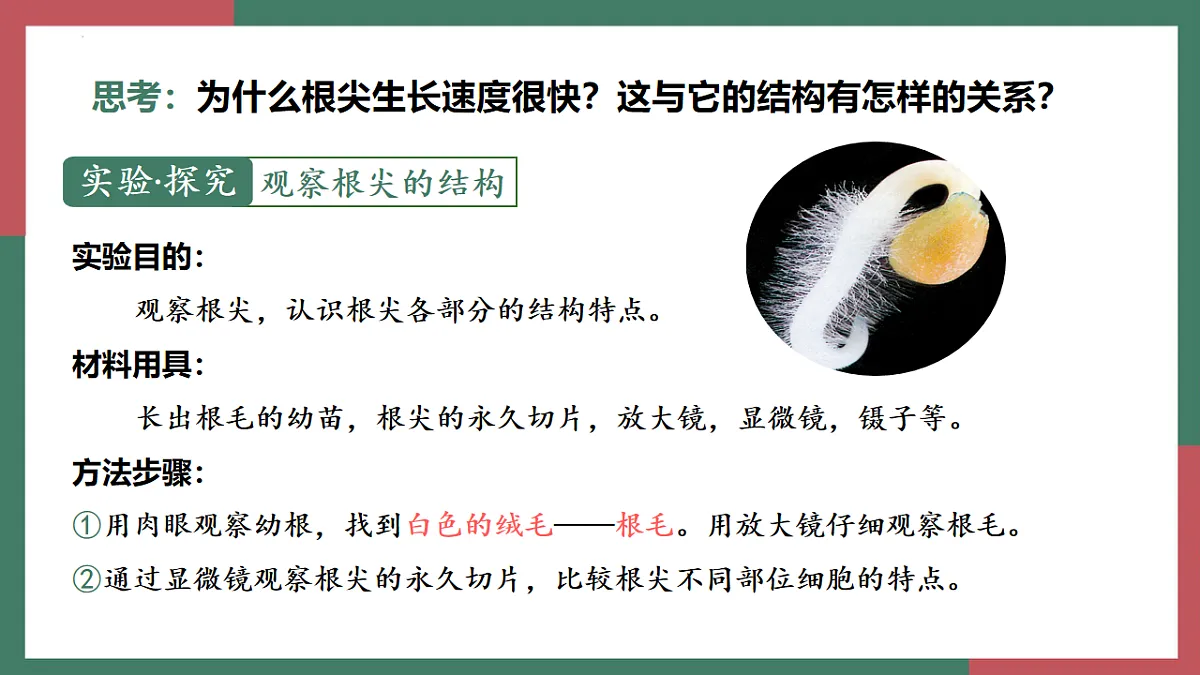 17996643第7页