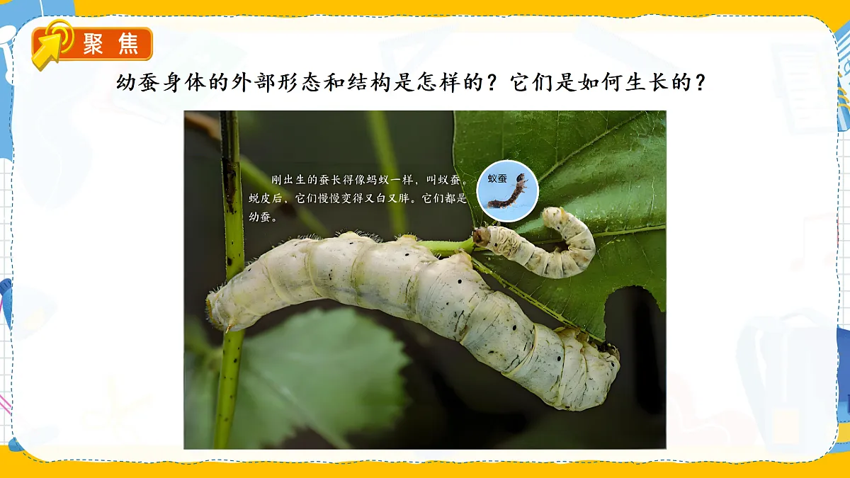17996736第4页