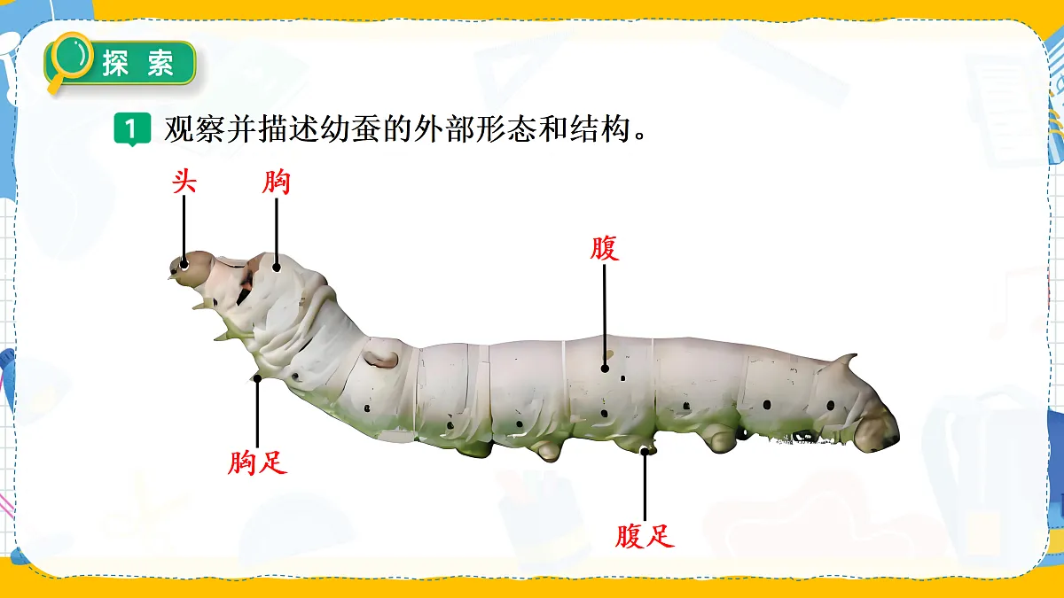 17996736第6页