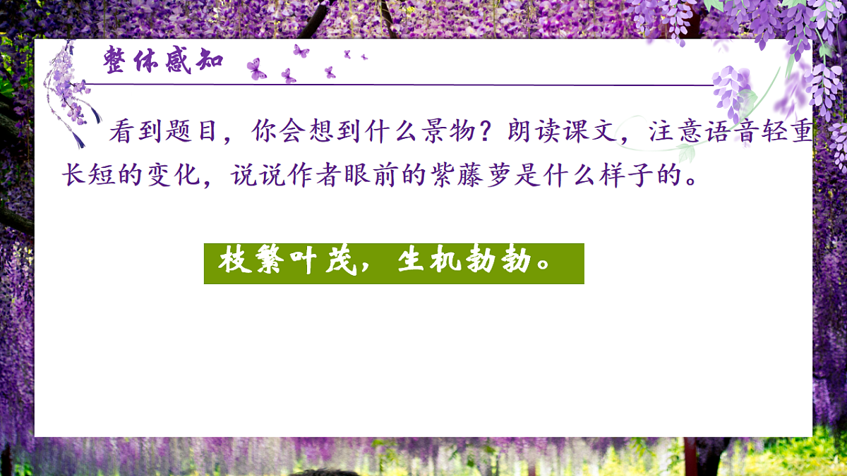 17996877第6页