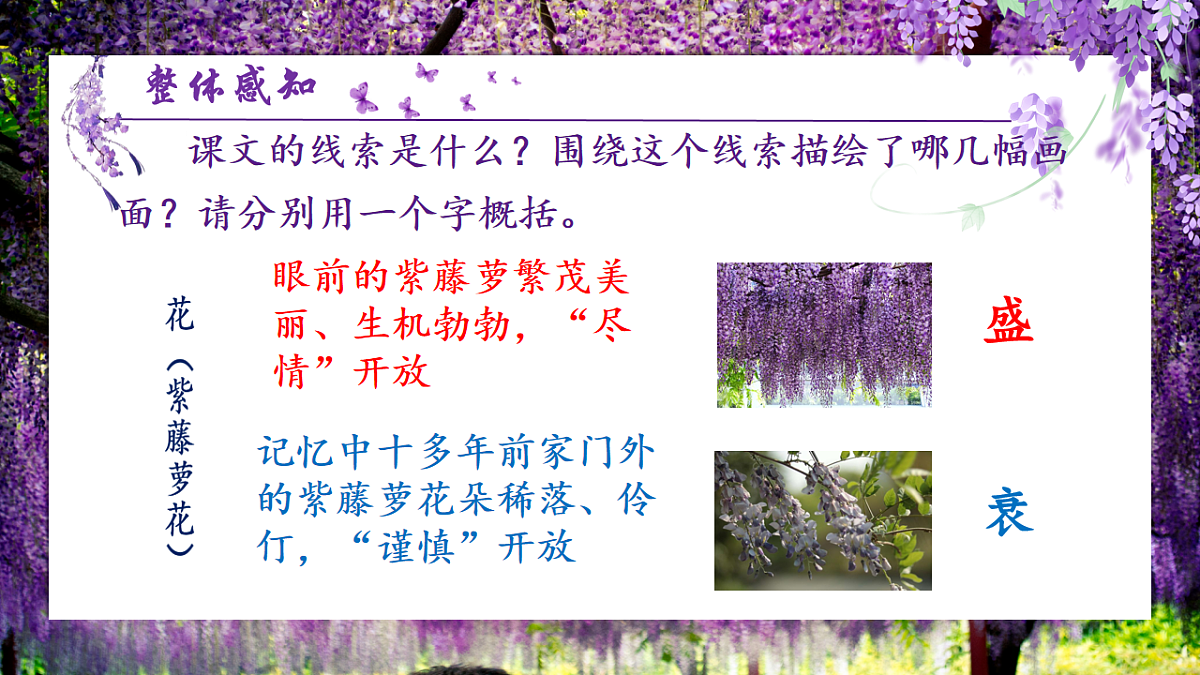 17996877第8页