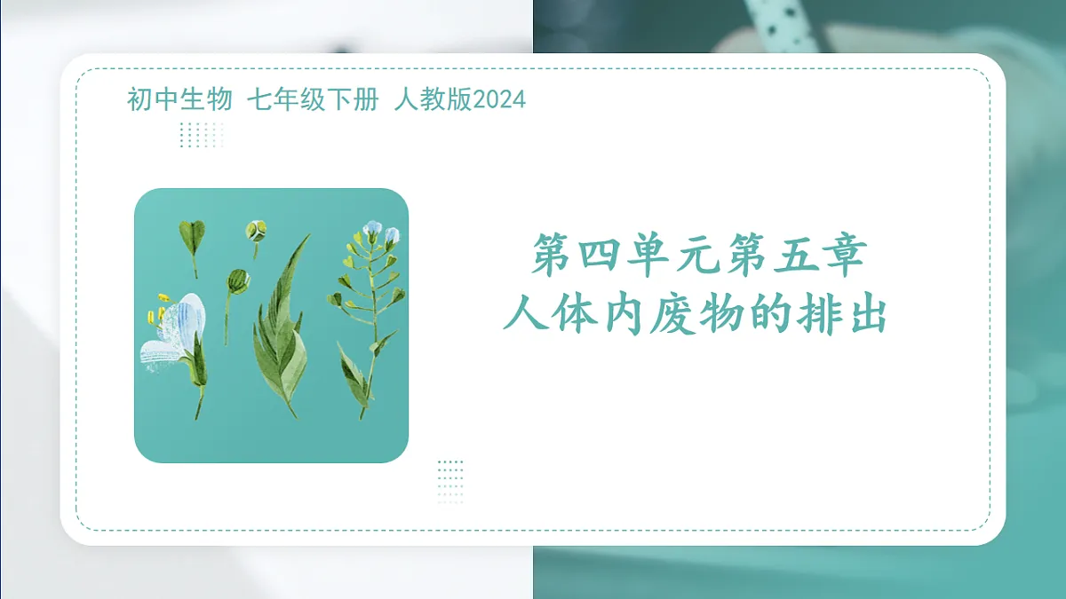 17997061第1页