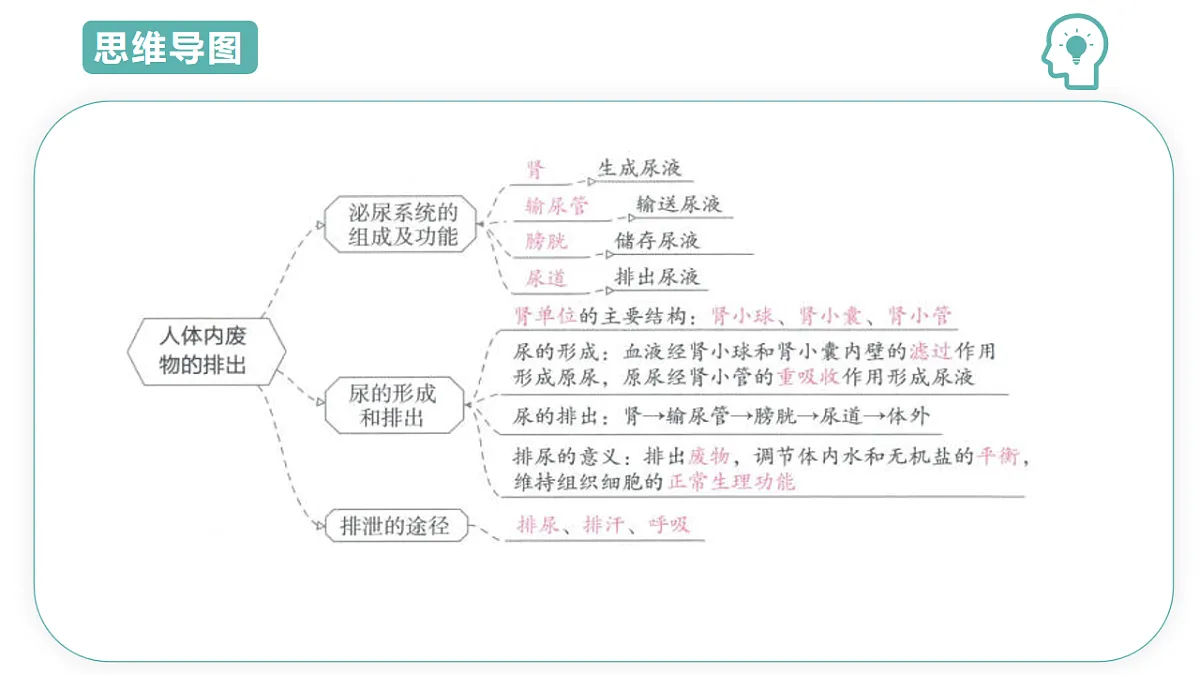17997061第3页