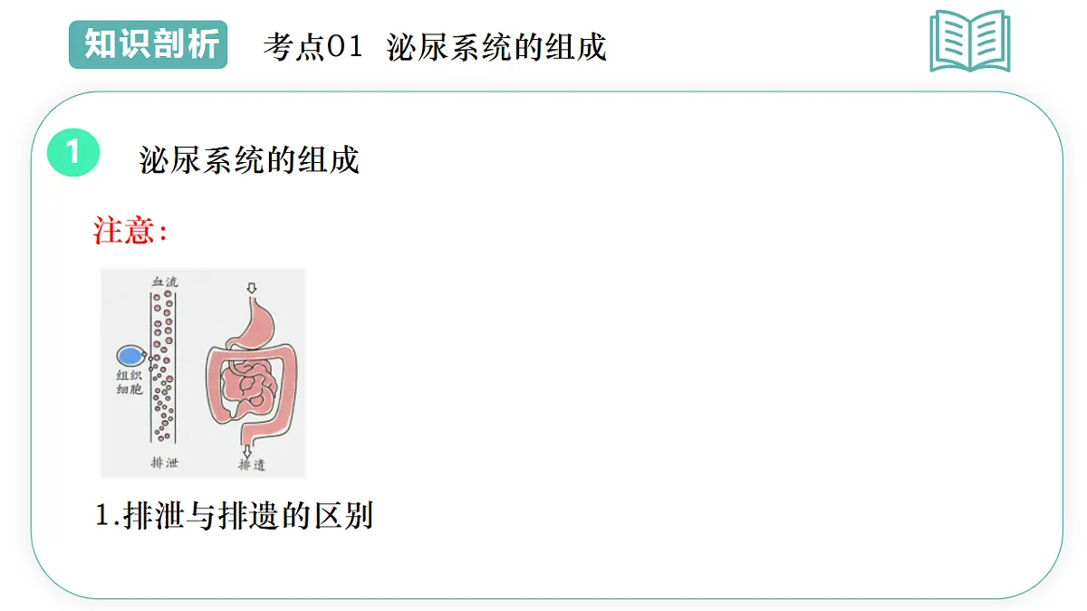 17997061第6页