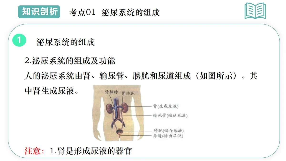 17997061第7页