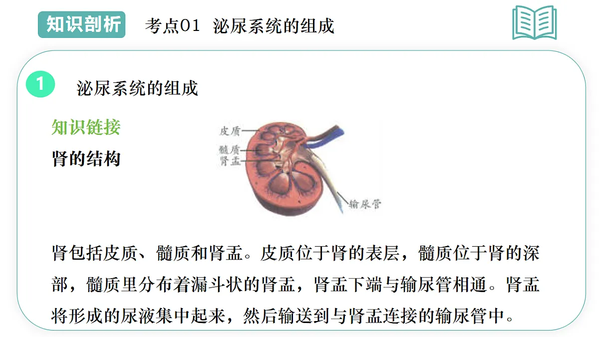 17997061第8页