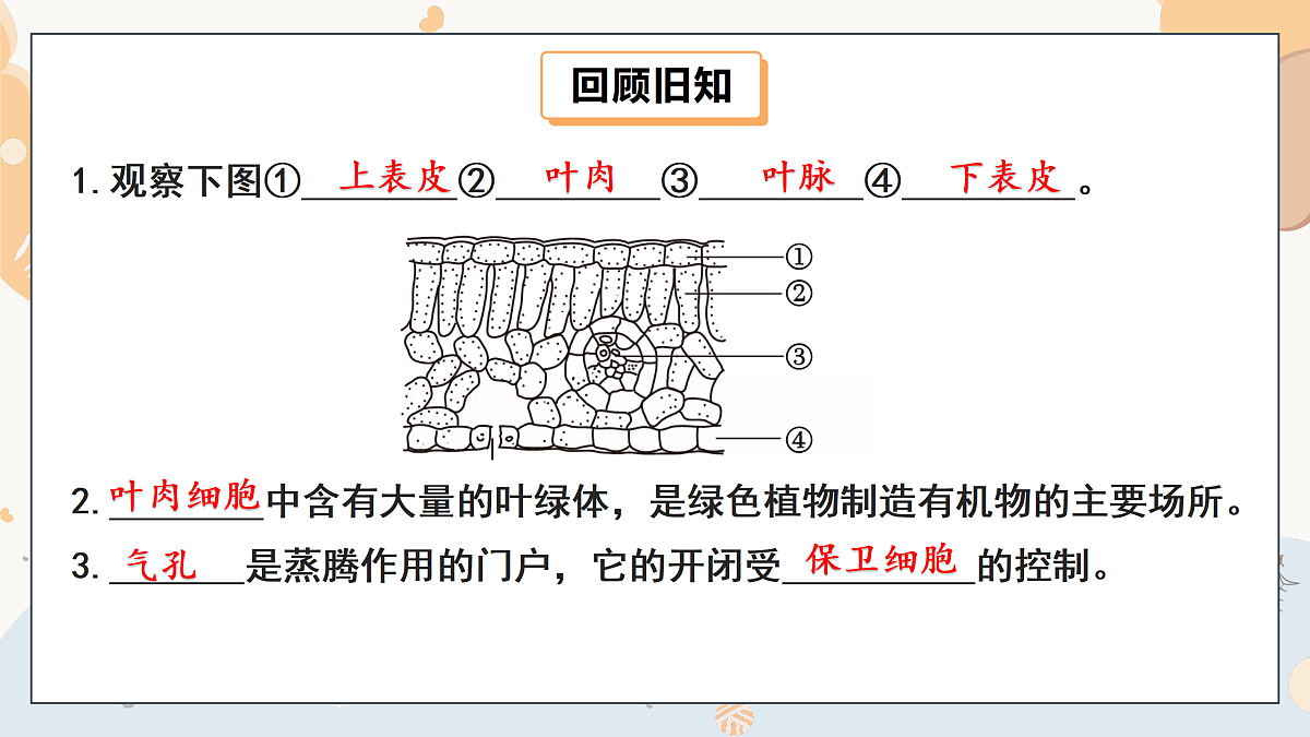 17997170第3页