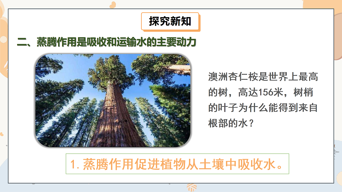 17997170第5页
