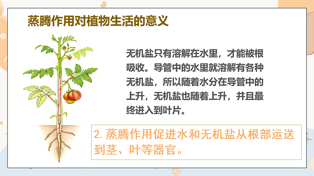 17997170第7页