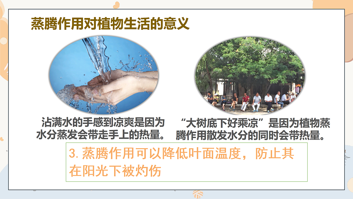 17997170第8页