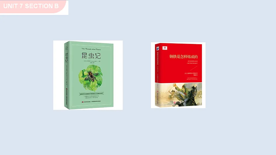 17997253第4页