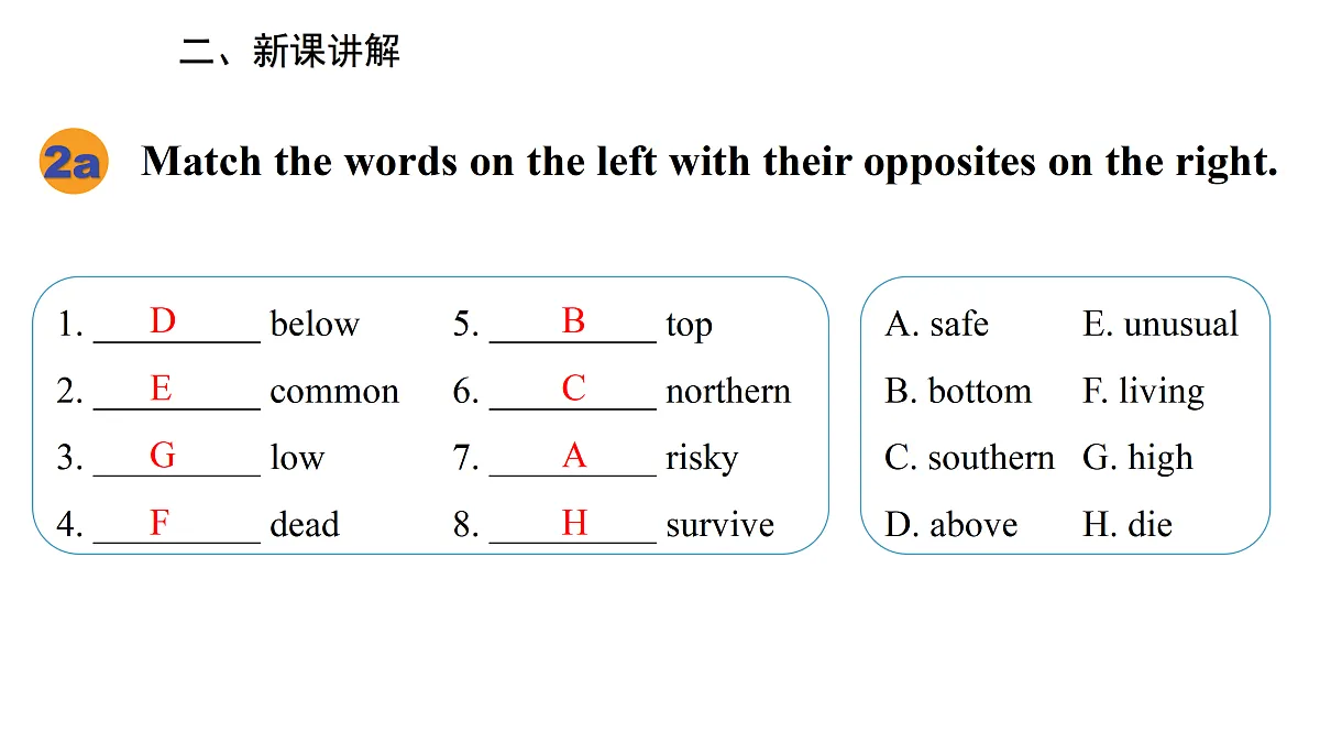 17997304第3页