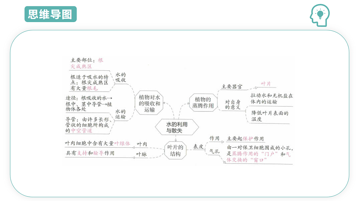 17997409第3页