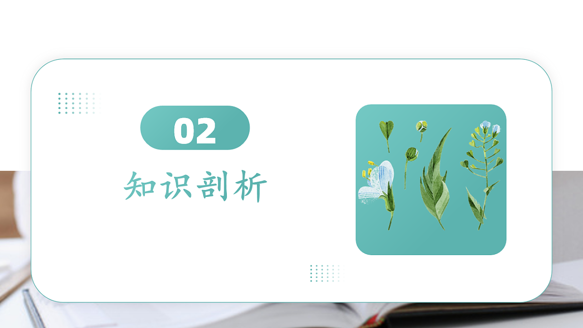 17997409第4页